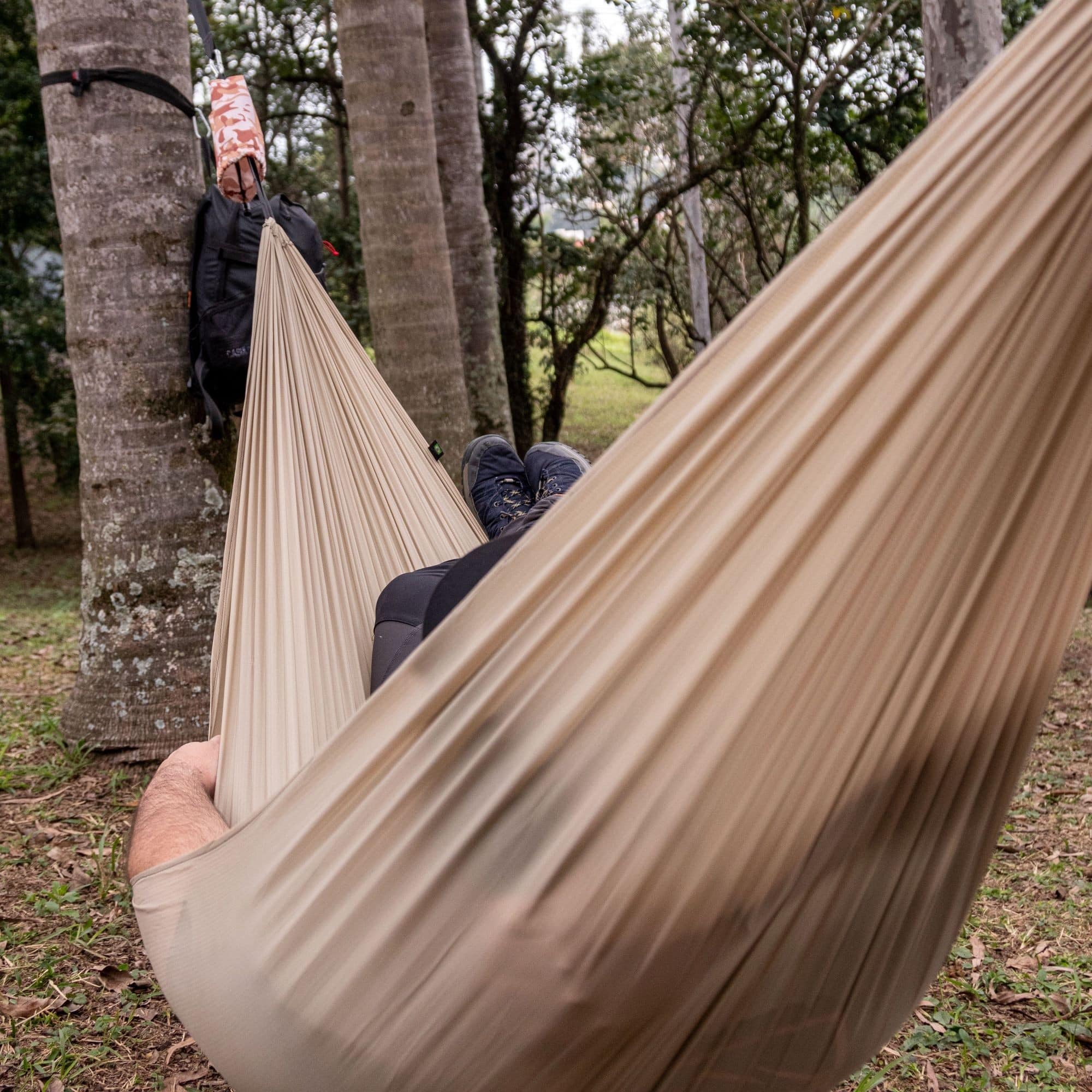 Por que a rede está batendo a barraca em 2026